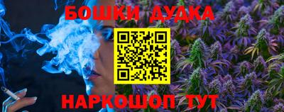 гашик Новозыбков