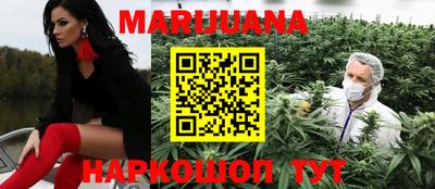 гашик Новозыбков