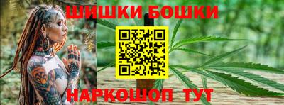 гашик Новозыбков