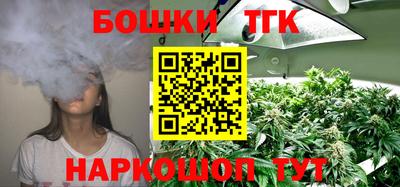 гашик Новозыбков