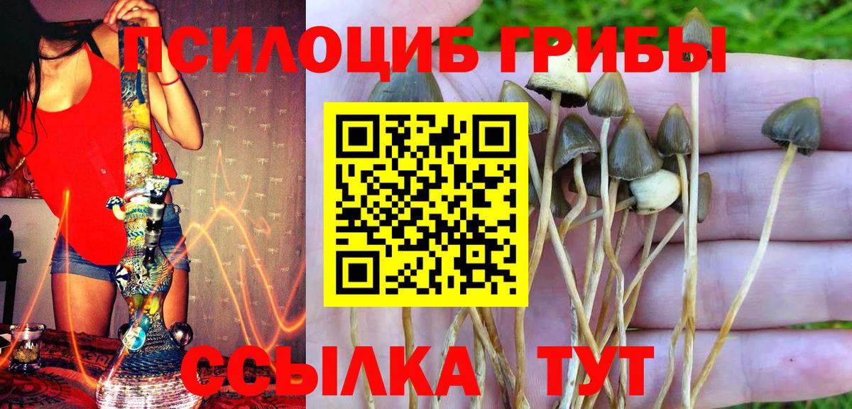 даркнет сайт  Псилоцибиновые грибы GOLDEN TEACHER  Вход с VPN  Ростов Великий 